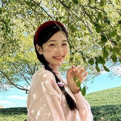 悬疑犯罪片单